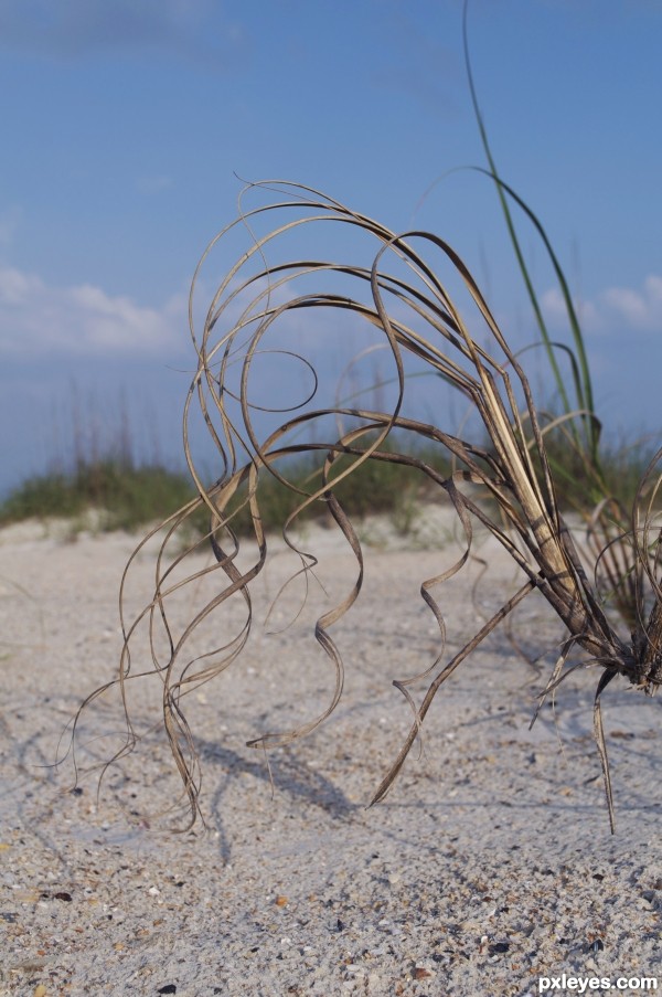 beach ribbons photoshop picture